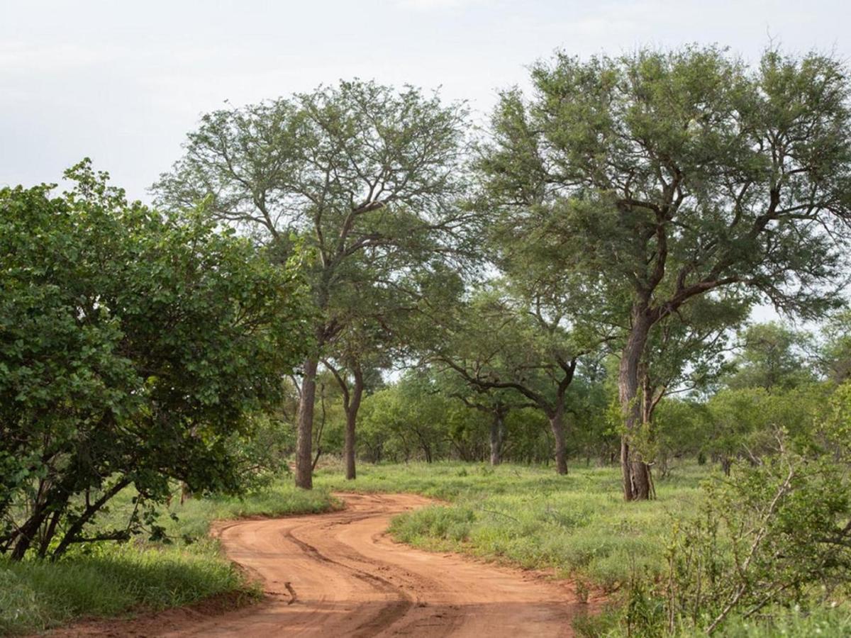 Ujabule Lodge Hoedspruit Zewnętrze zdjęcie